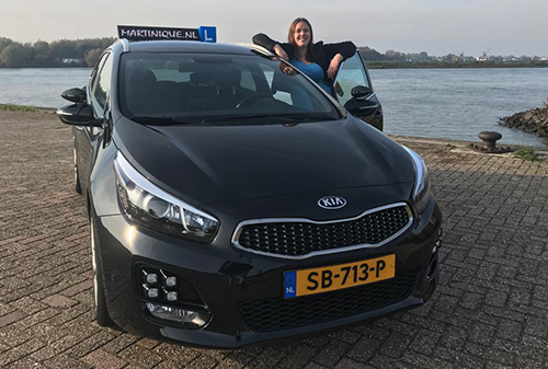 autorijschool martinique lessen theorie praktijk examen   to drive nieuw 